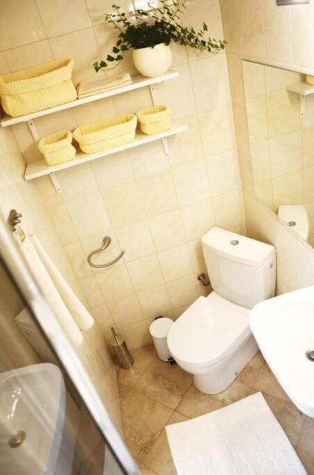 Apartment Elizabeth 1 โกชิเซ ภายนอก รูปภาพ