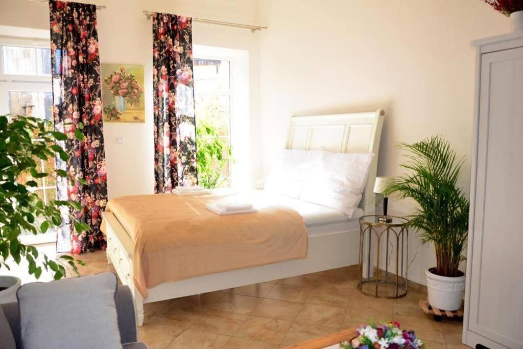 Apartment Elizabeth 1 โกชิเซ ภายนอก รูปภาพ
